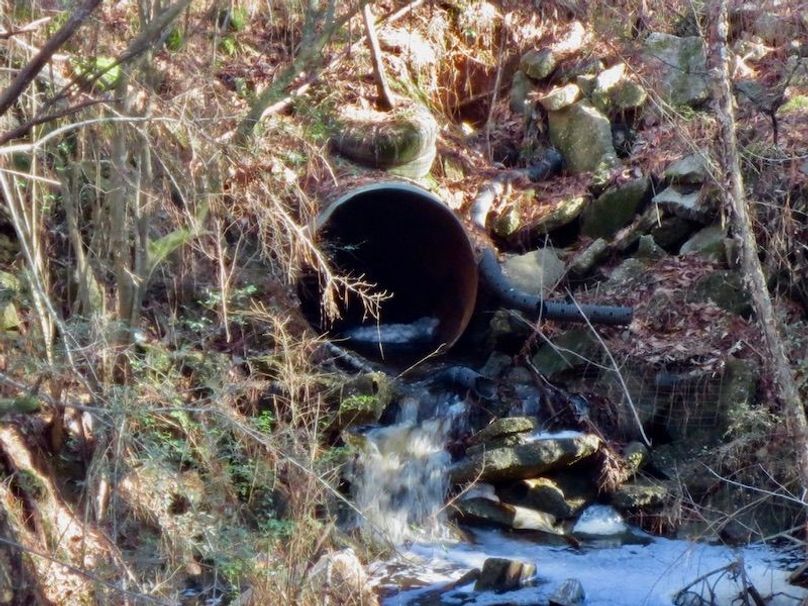 BF4CB6FF-C954-43BA-9F87-AFC2BE9303F5_1_105_c