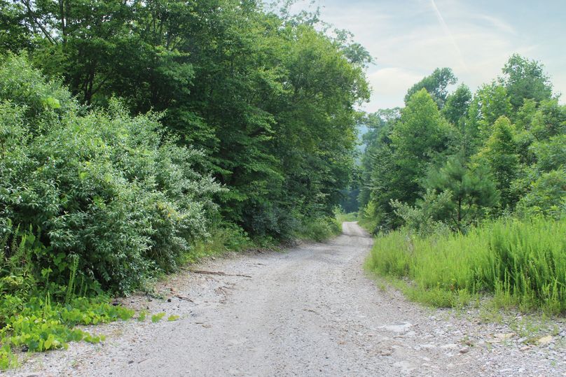 004 the access road along the west boundary that divides the property