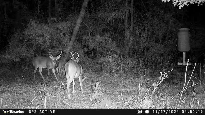 521357386_10161246515226875_4135126713141744330_n