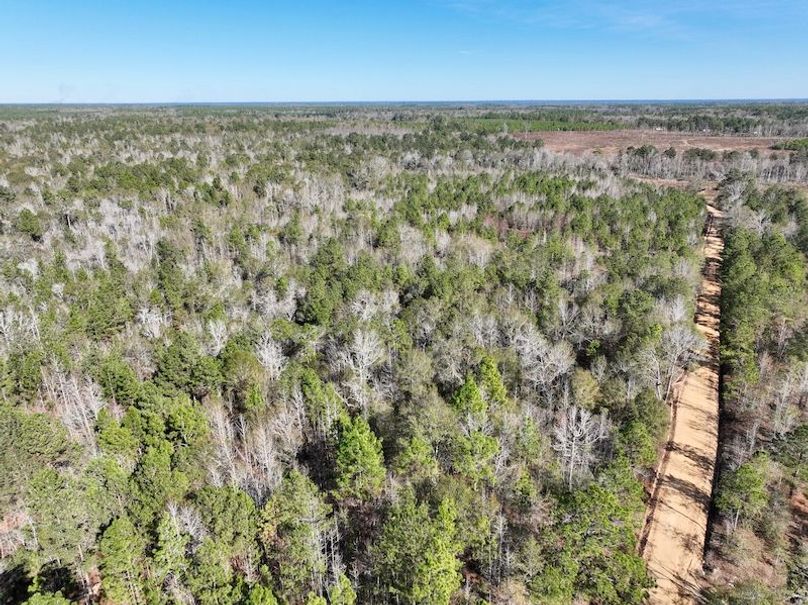 dji_fly_20251128_132714_13_1764354902760_photo