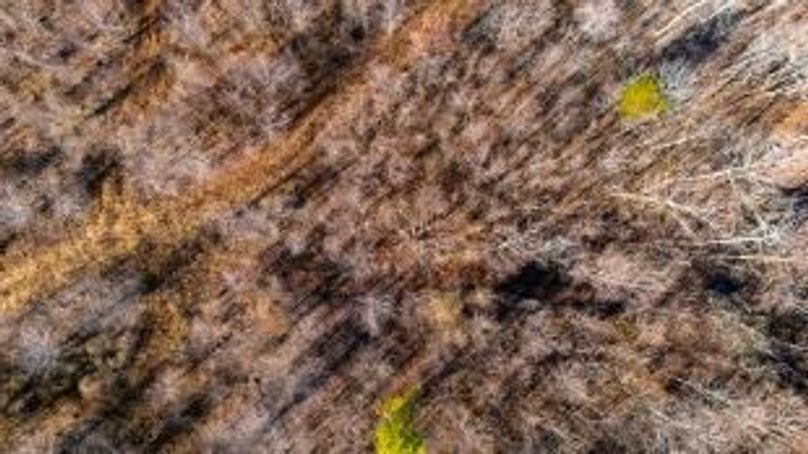 MCKINNON TRACT 17-11