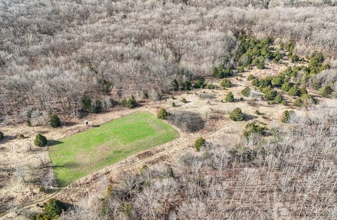 DJI_20250316085718_0032_D