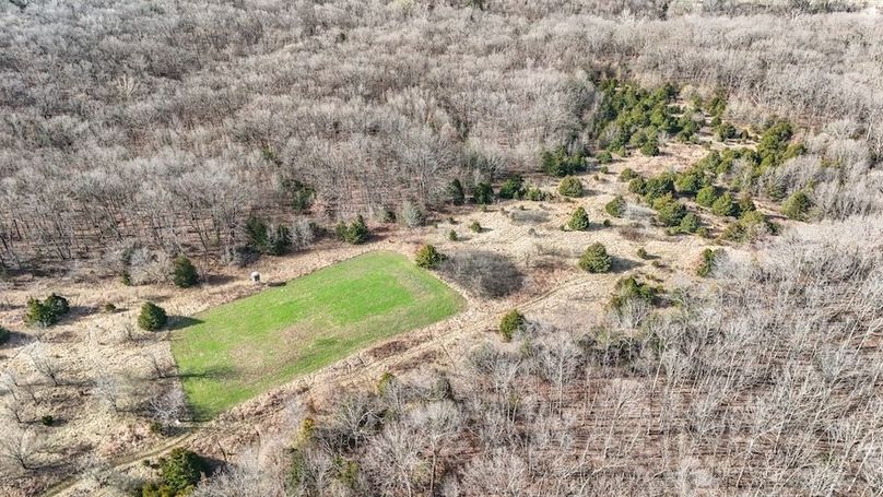 DJI_20250316085718_0032_D