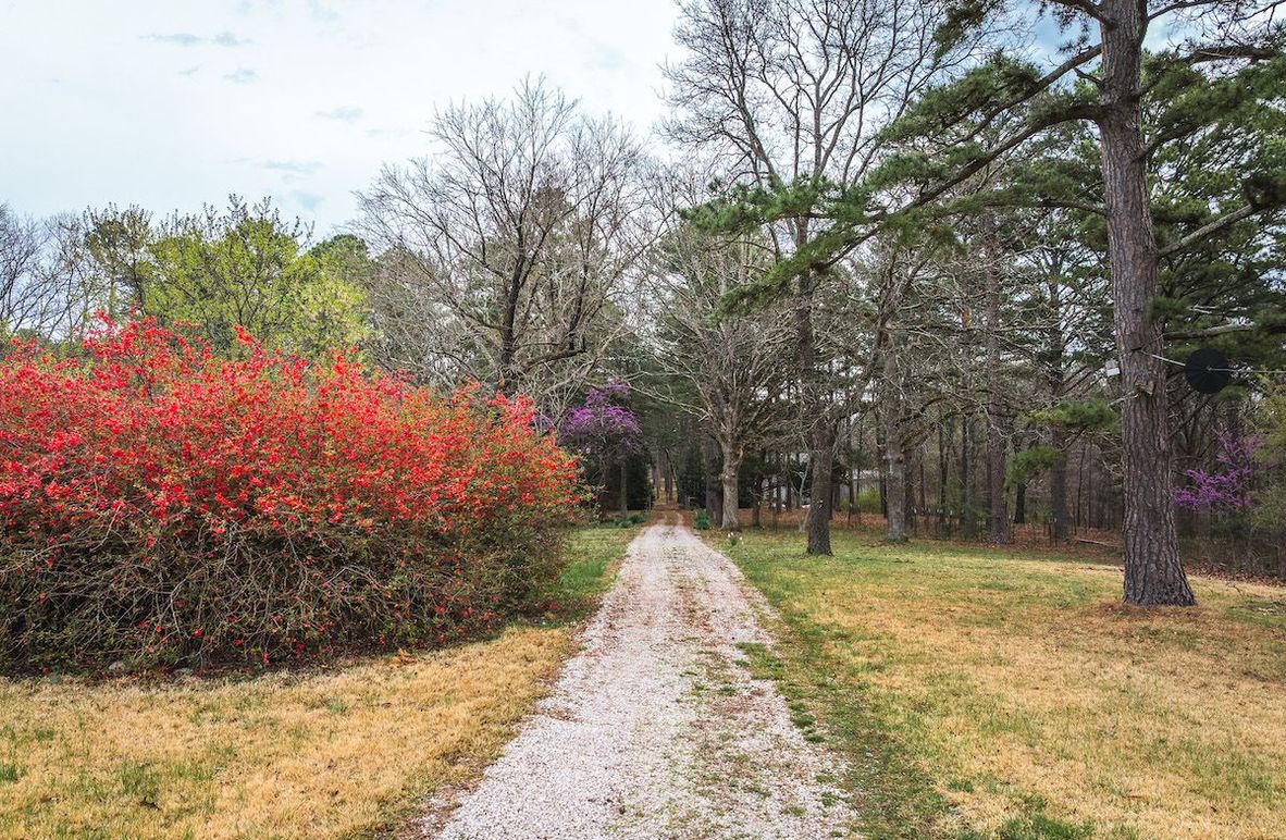 DJI_20250403115815_0548_D