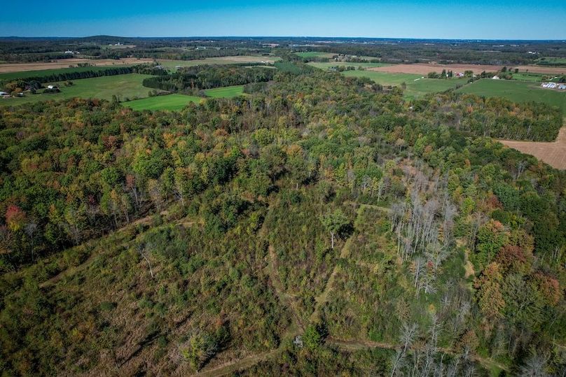 Wood 41.451, Collins -07