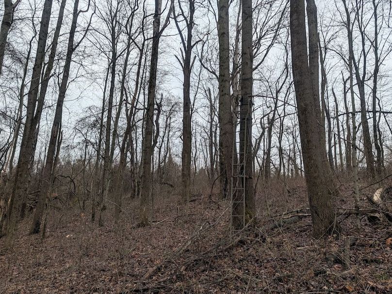 PXL_20260107_175102619