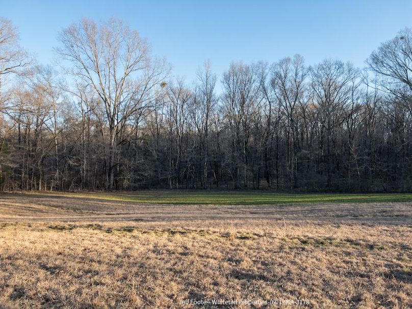 Hinds Co - 53.51 - MT Beasley-23