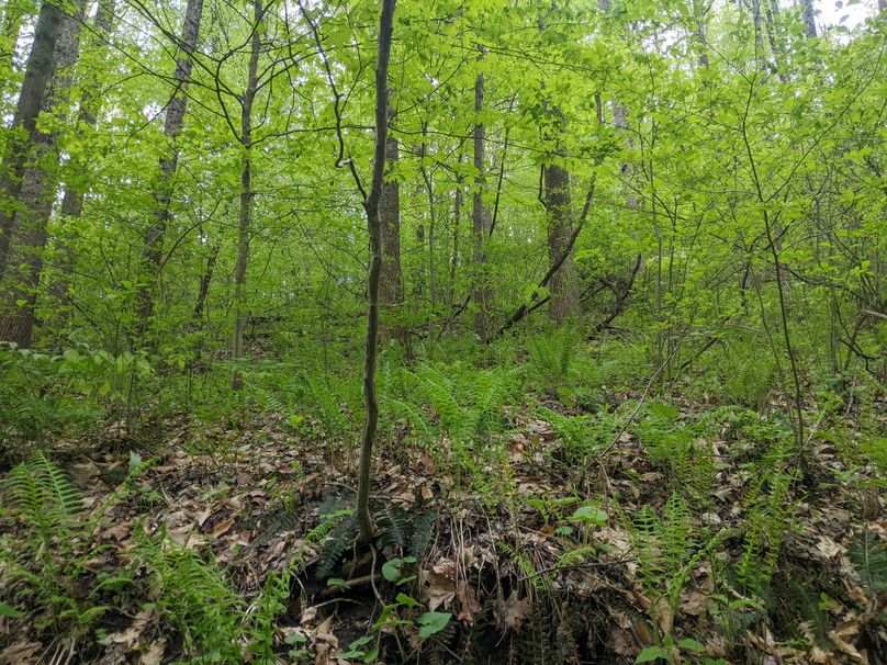 PXL_20230504_215001045