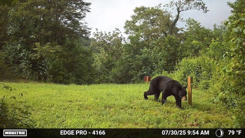 Temp_1437140-20250730135521-pir_20250730_095453_1_26_0