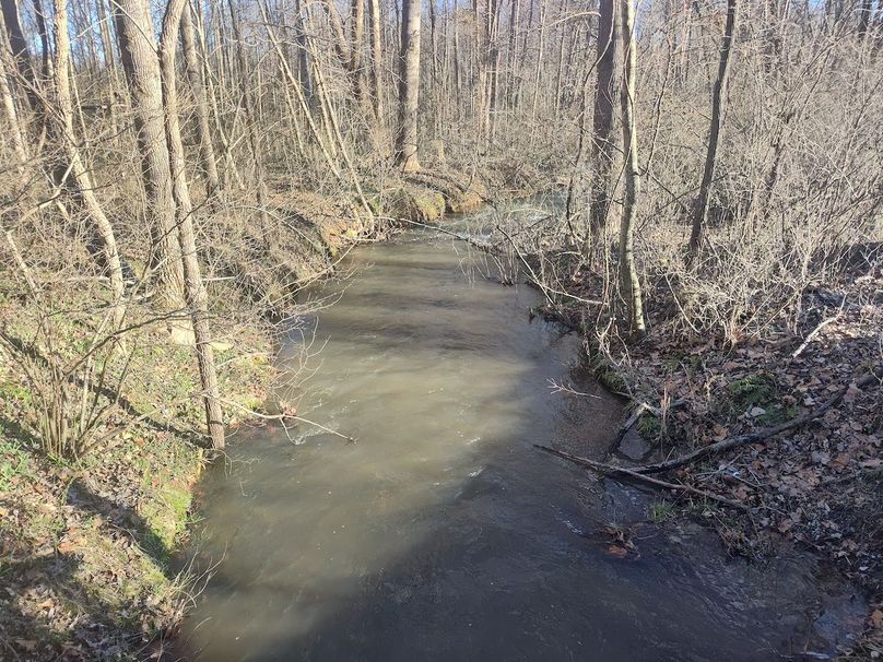 IMG_20240302_164225676_HDR