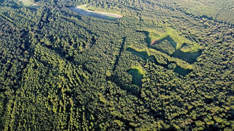 dji_fly_20250726_071938_490_1753528792200_photo_optimized