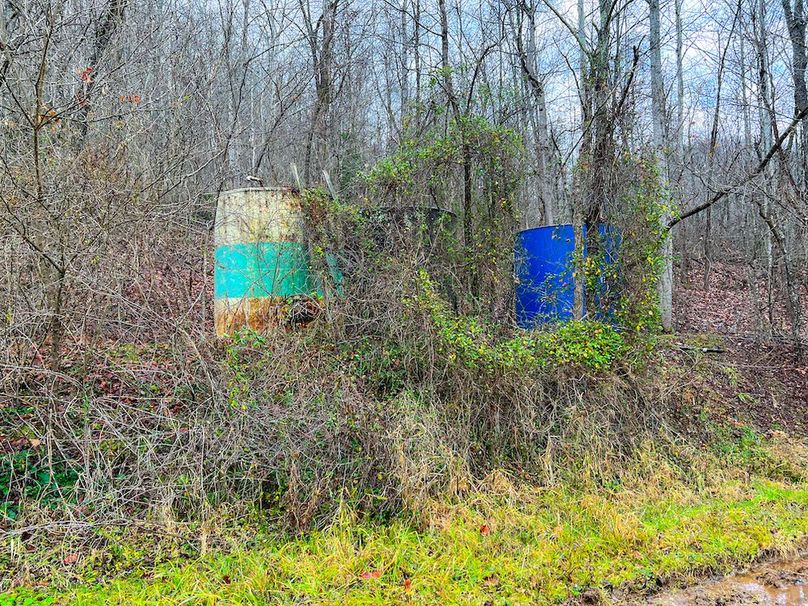 Calhoun, WV 225.69 AC Duffield-22