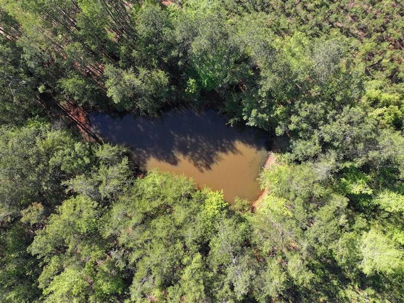 DJI_20260421100302_0640_D