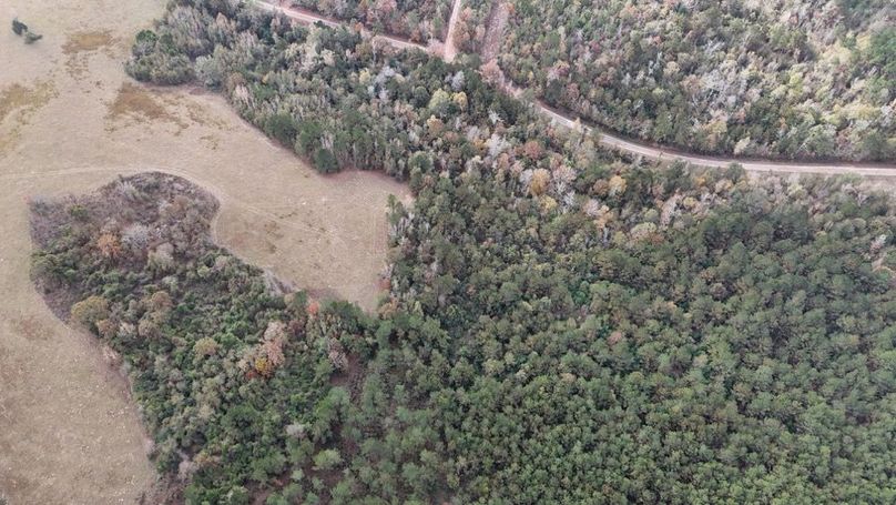 DJI_20251120002438_0925_D