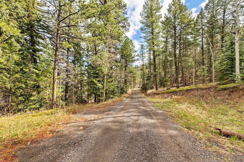 041 Driveway