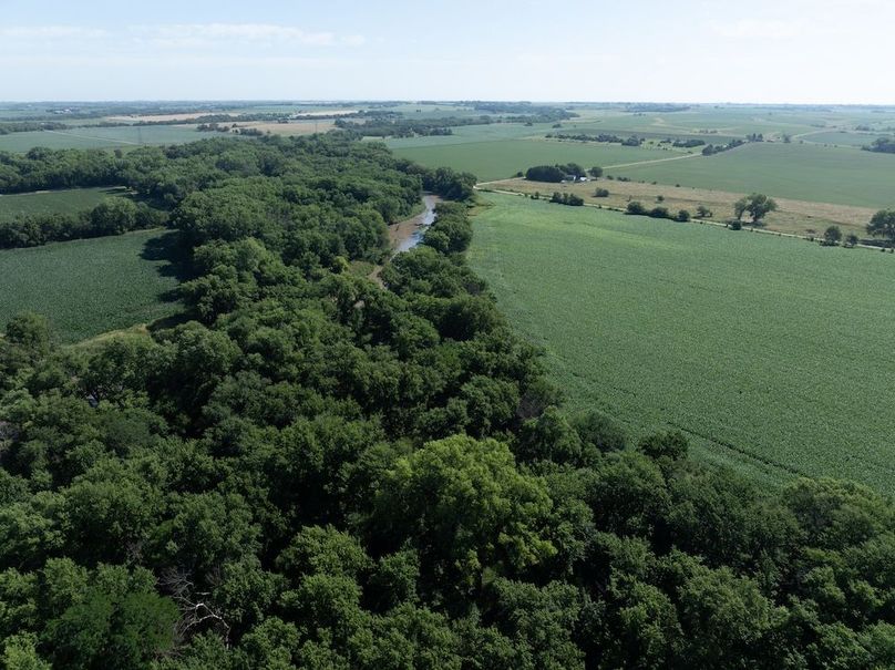 20240624-DJI_20240624094415_0059_D