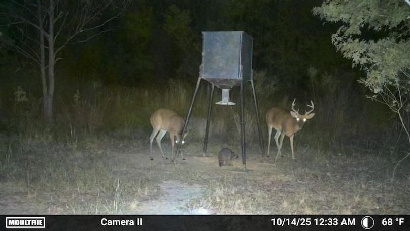 Temp_2348882-20251014053417-100MFCAM_MFDC1010