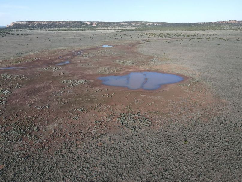 dji_fly_20240504_075238_339_1714830773765_photo