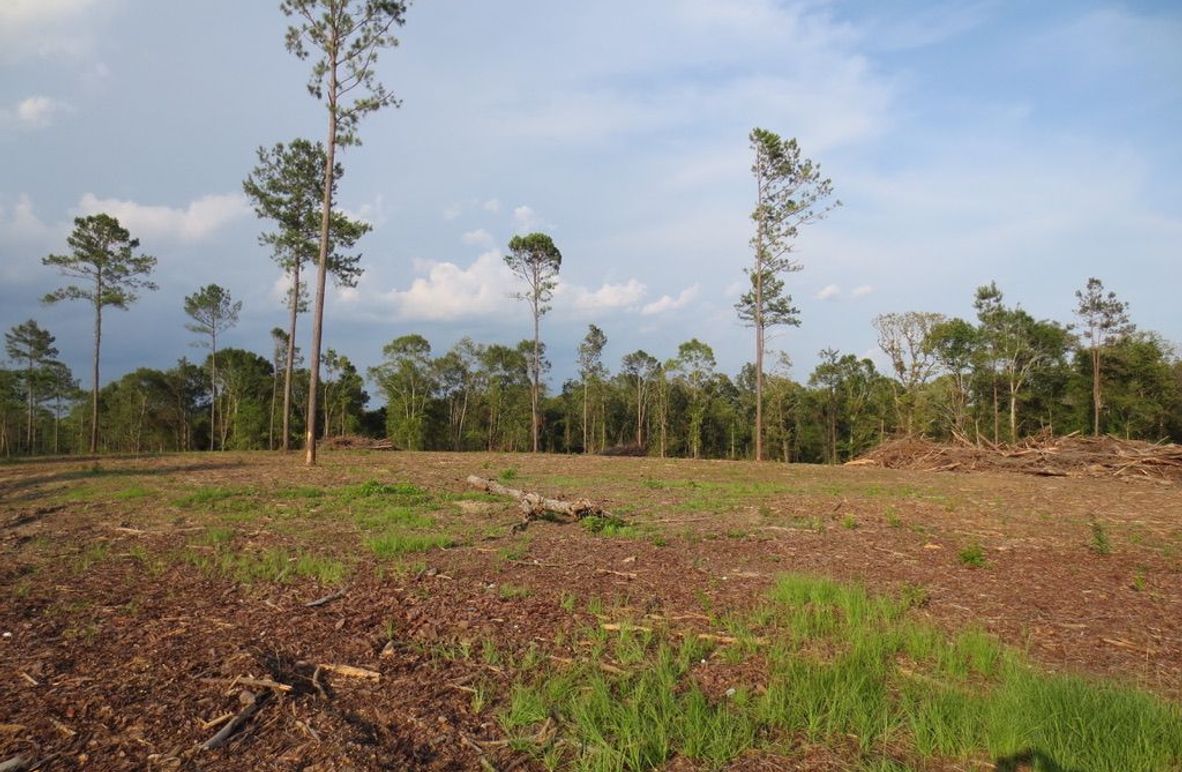 9CE46361-40AA-423F-89D7-256466ECF75B_1_105_c