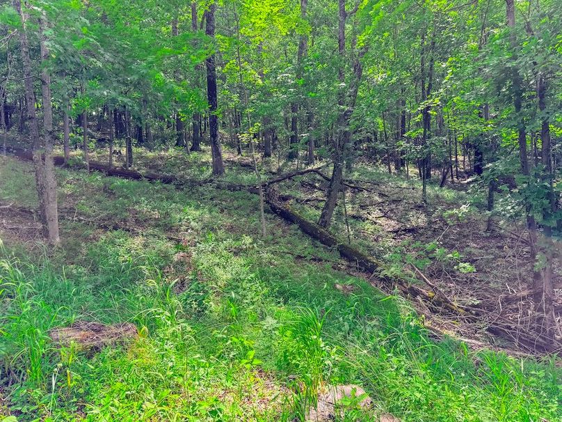 Wirt, WV 137.45 AC Full-58