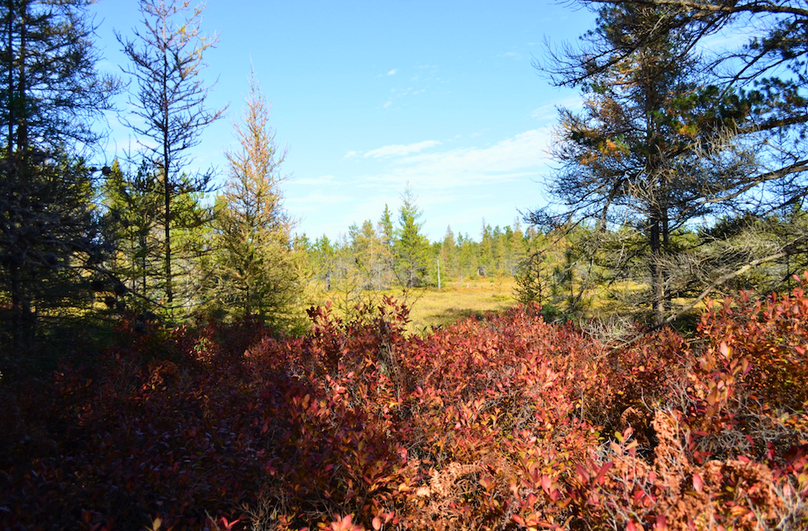 Screenshot 2025-11-14 at 11.18.20 AM