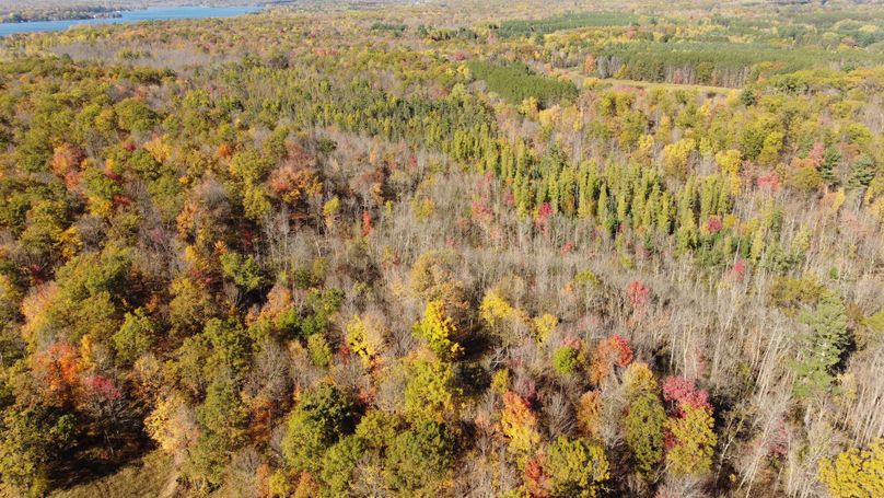 dji_fly_20231015_145214_154_1697399586535_photo_optimized