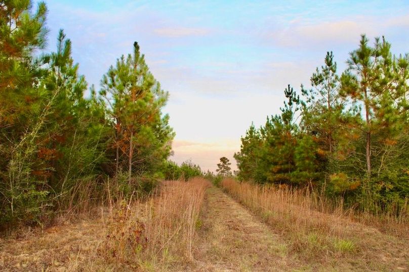 BAEEBEFE-9BB5-4AAD-89E3-282EADAD8E32_1_105_c