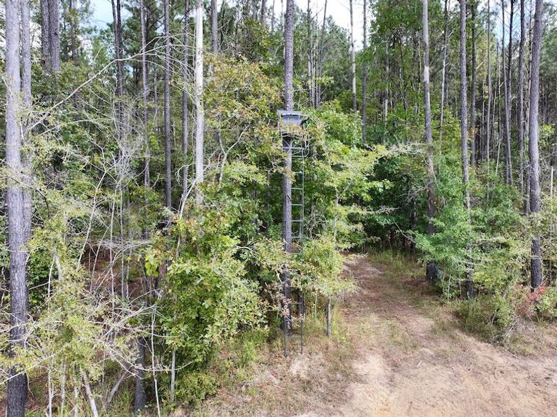 dji_fly_20251001_134852_0608_1759492693058_photo