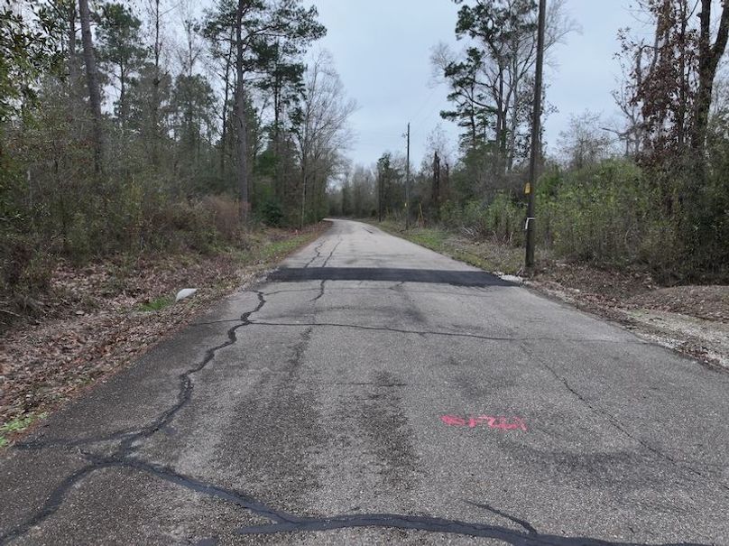 dji_fly_20260123_105510_0901_1769444794175_photo