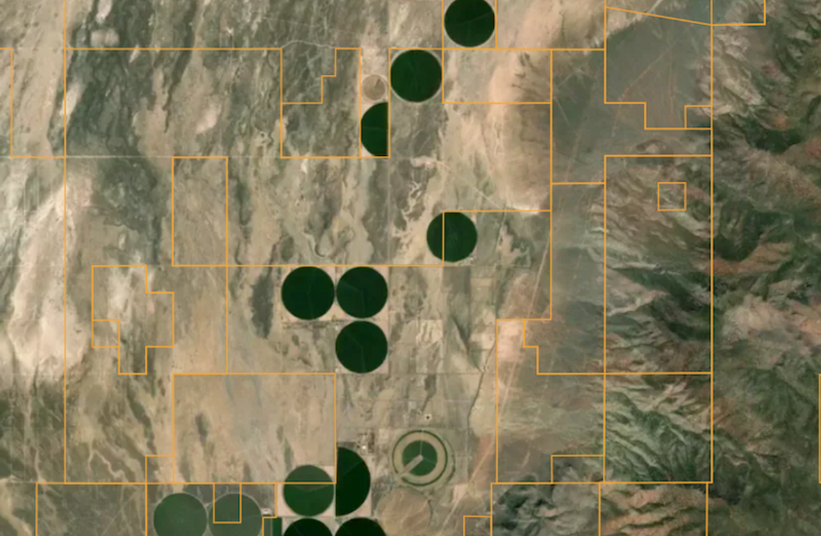 Screenshot 2025-08-21 at 3.22.18 PM