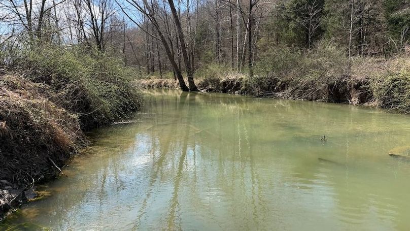 Butler 118 Capella24