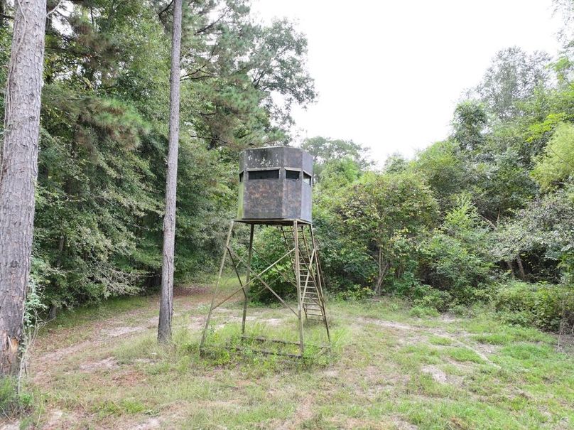 dji_fly_20250924_095214_0538_1758726283838_photo