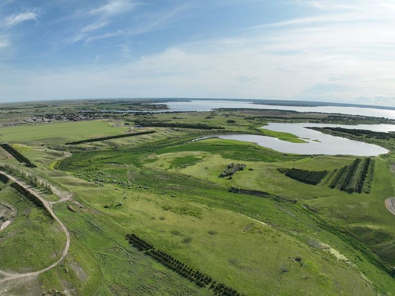 DJI_0569