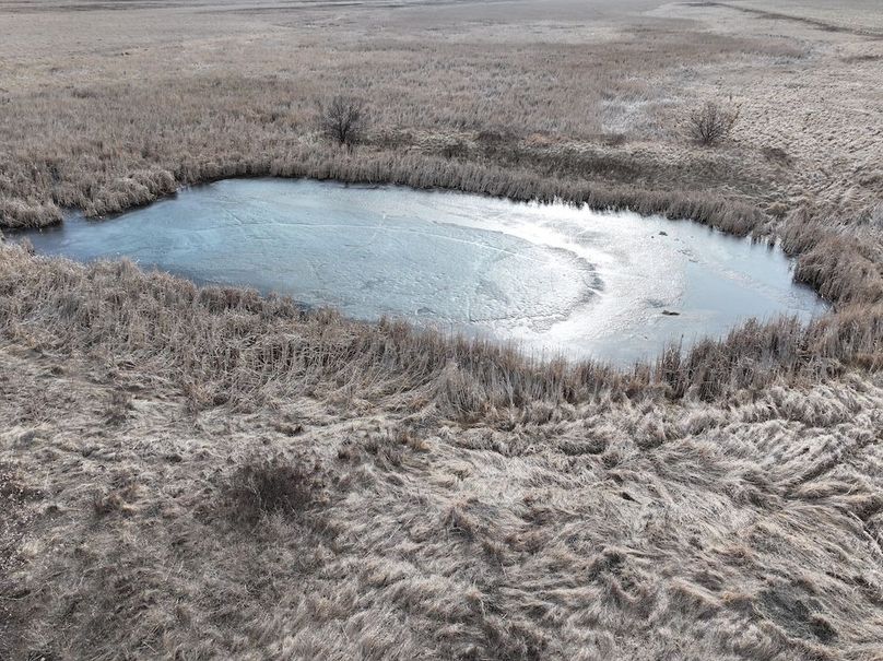 DJI_20260222124407_0025_D