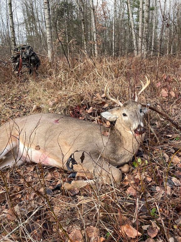 de961ec652c2175e7d68be2617368a4c