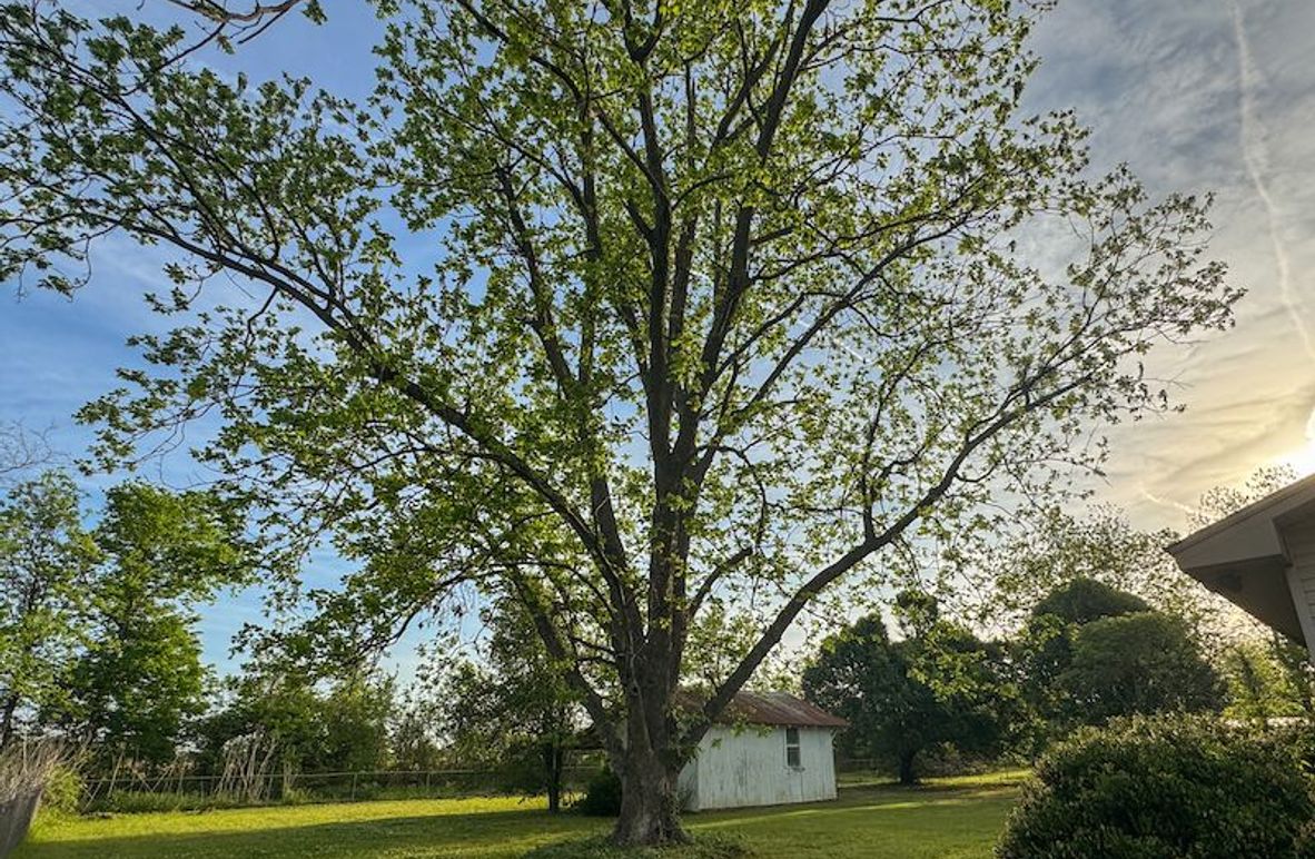 C Phillips .5 Stokes-3