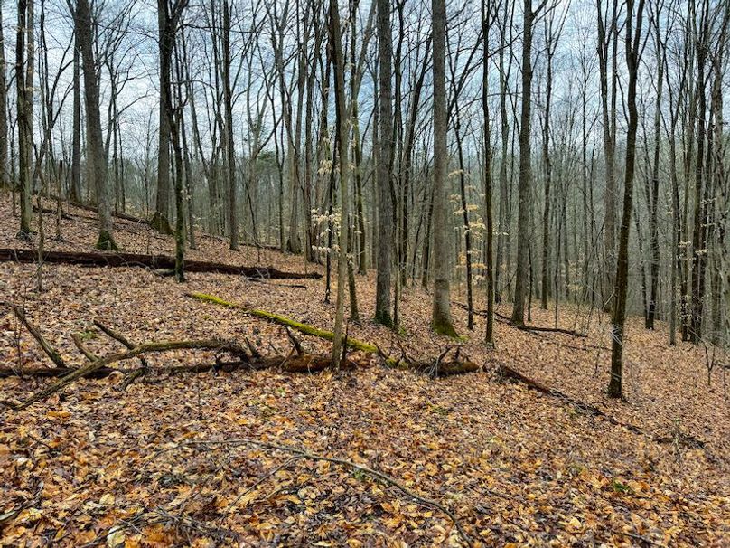 Ritchie, WV 64 AC Hall New Pics-27