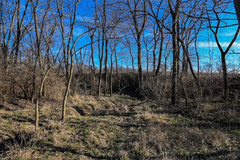 vandalia 450 (2)-2222