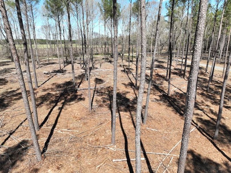 dji_fly_20240307_121302_159_1709831715805_photo