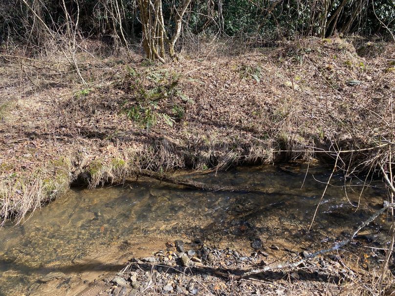 Cherokee 7.47 Herzog-03