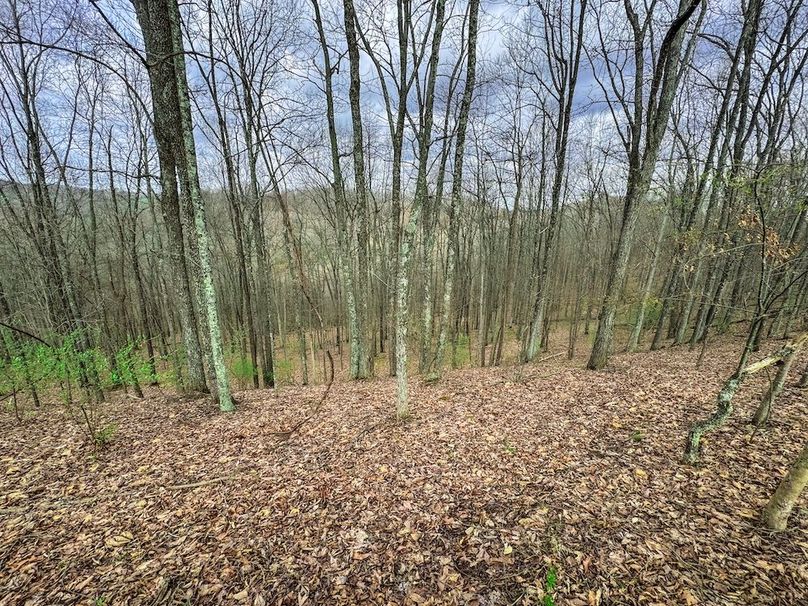 Ritchie, WV 206.08 AC Curriden-53