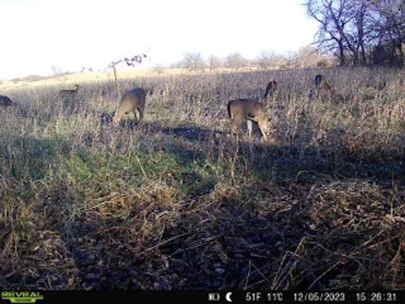 cb4fff81-fb8d-4744-ae80-158d53619b2f