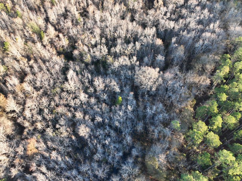 dji_fly_20231229_082818_988_1703856667042_photo