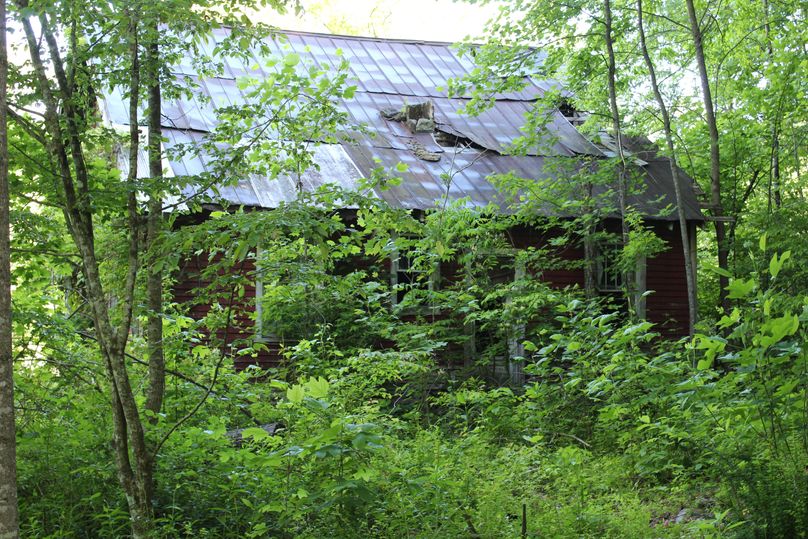 013 back view of the old home