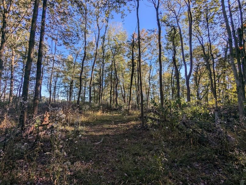 PXL_20251001_212037741