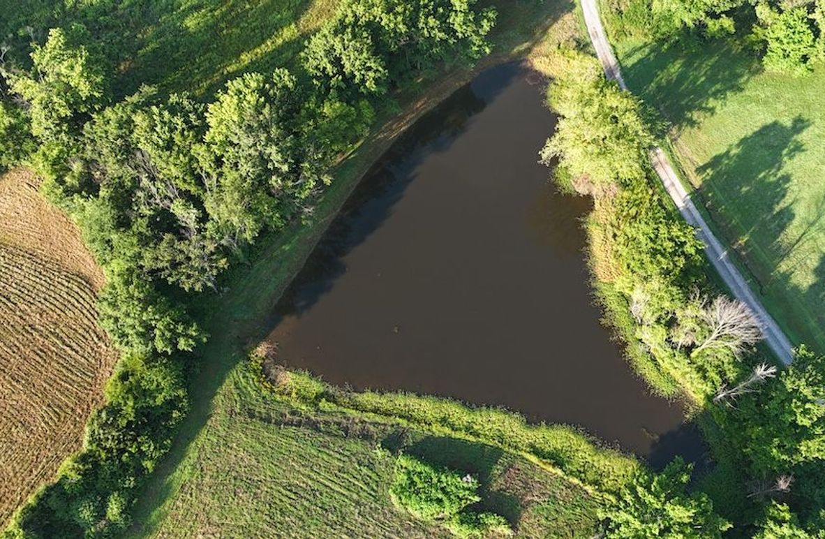 dji_fly_20250714_075604_0054_1752497637666_photo