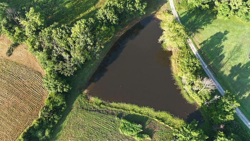 dji_fly_20250714_075604_0054_1752497637666_photo