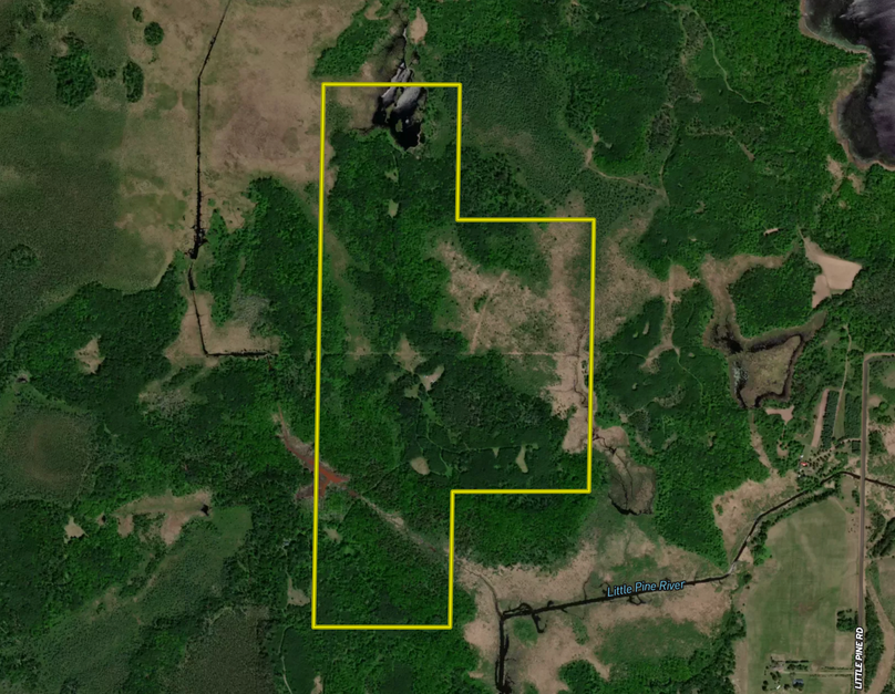 Screenshot 2023-09-17 at 8.02.54 AM