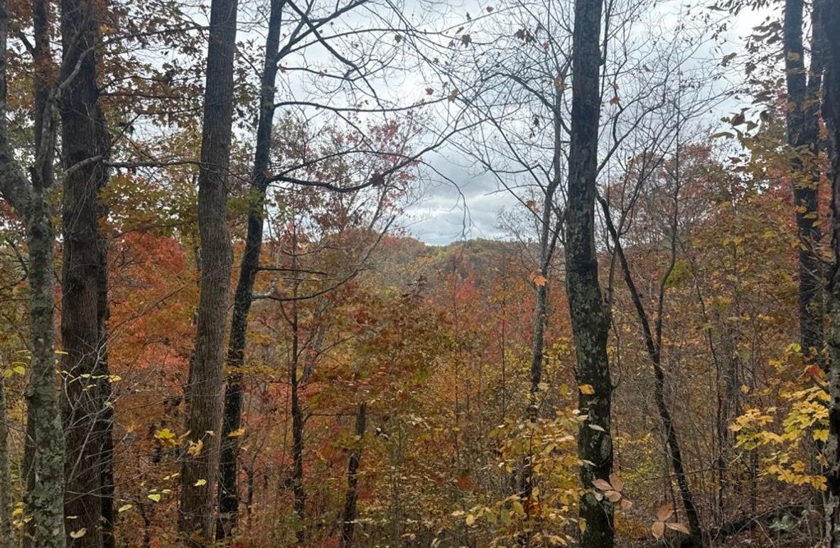 002 View from High Point-2