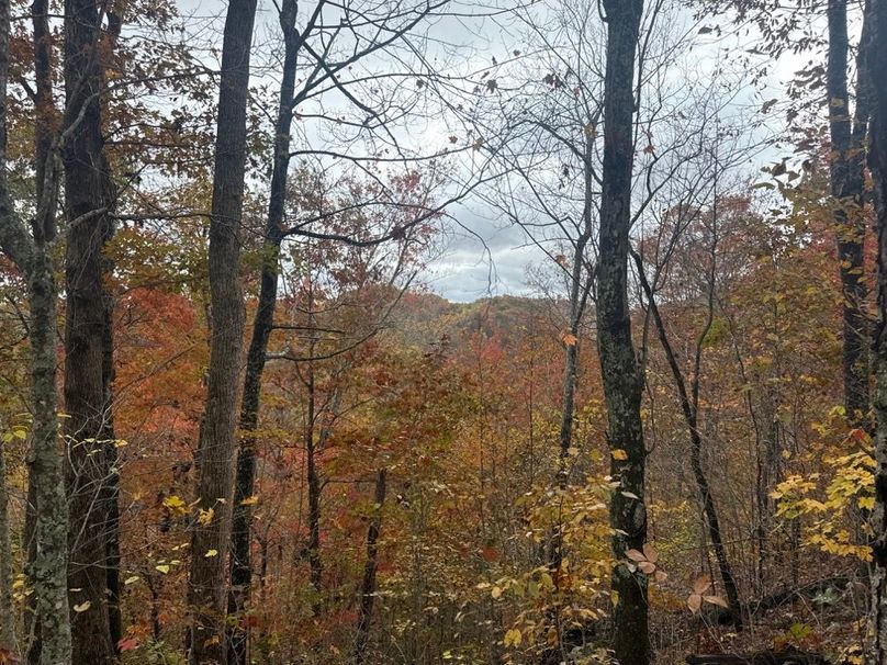 002 View from High Point-2